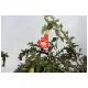 Tag_01_Bild_06_Papallacta.JPG