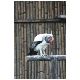 Tag_02_Bild_06_Vogelpark.JPG