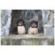 Tag_02_Bild_07_Vogelpark.JPG
