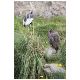 Tag_02_Bild_08_Vogelpark_Condor.JPG