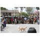 Tag_03_Bild_02_Fiesta_San_Juan_Cotacachi.JPG