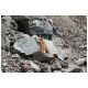 Tag_06_Bild_08_Cotopaxi.JPG