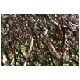 Tag_10_Bild_04_Cajas_Nationalpark.JPG
